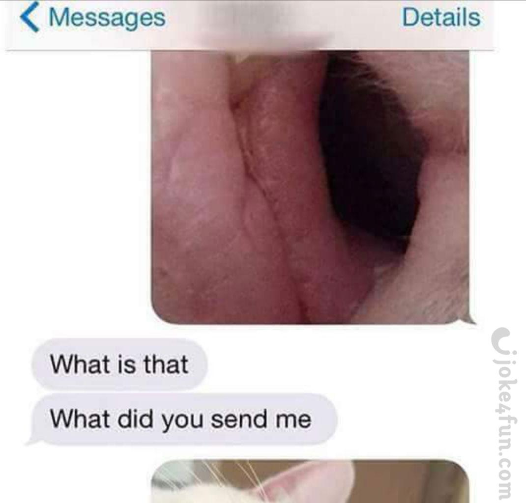 Tubed Packaged Goods: How to Make your Products Stand Out 15 dirty memes for him from her