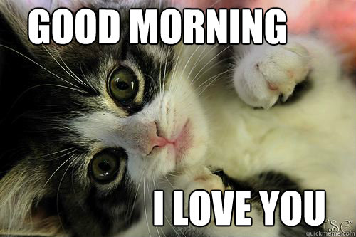 Tubed Packaged Goods: How to Make your Products Stand Out 28 funny good morning meme for him